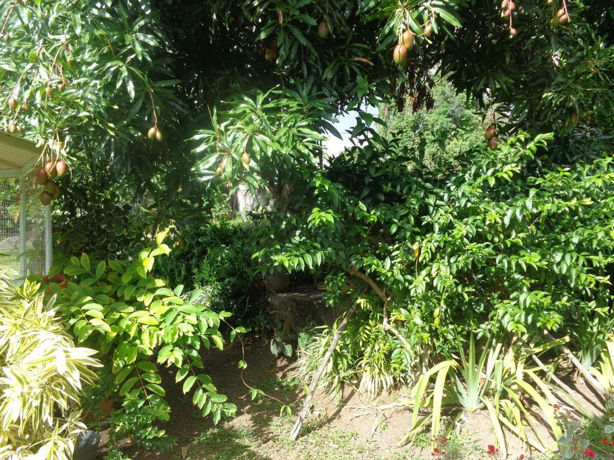 Gite Malou Deshaies Exterior photo